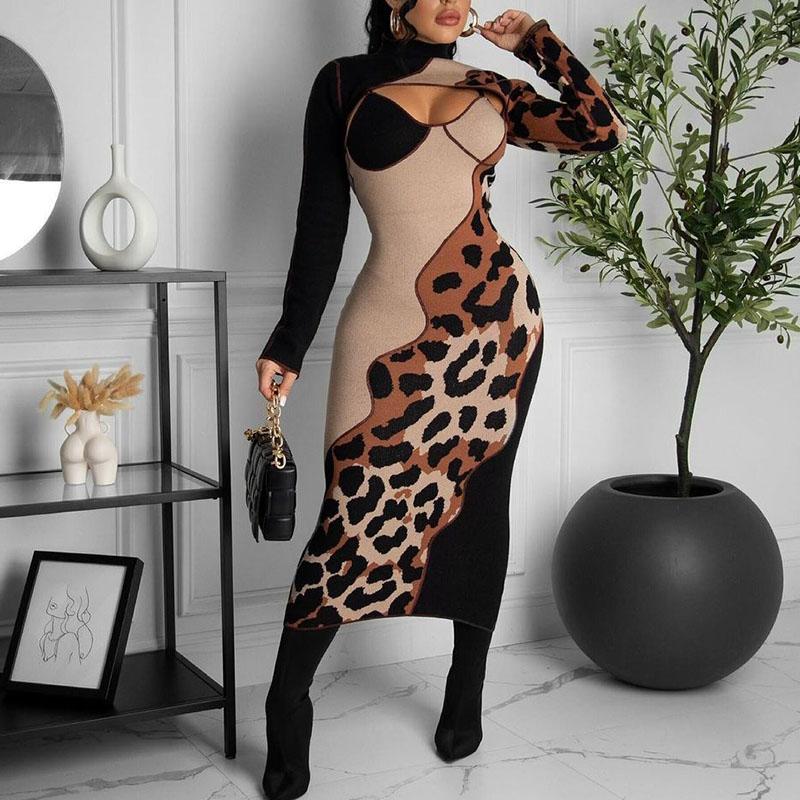 Jahzara Long Sleeve Leopard Dress