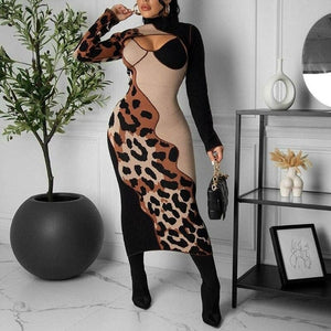 Jahzara Long Sleeve Leopard Dress